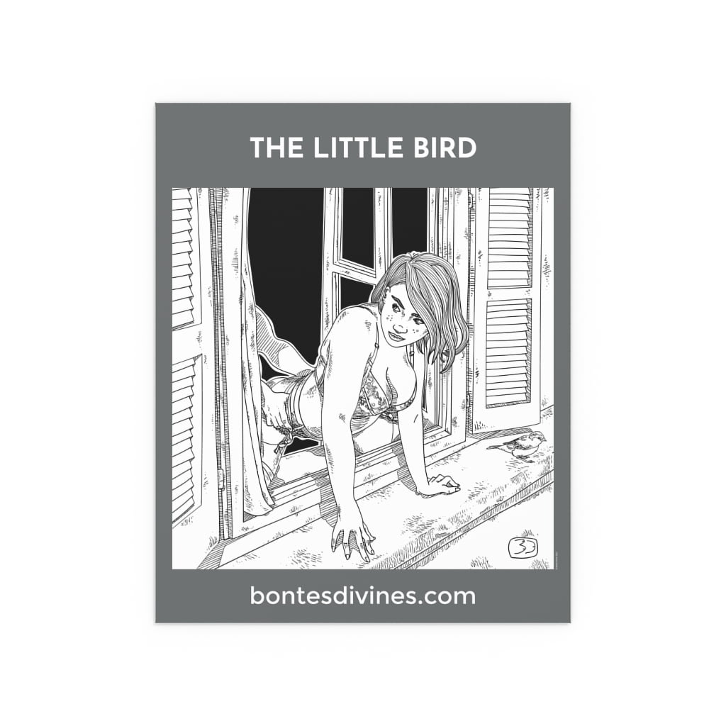The little bird poster